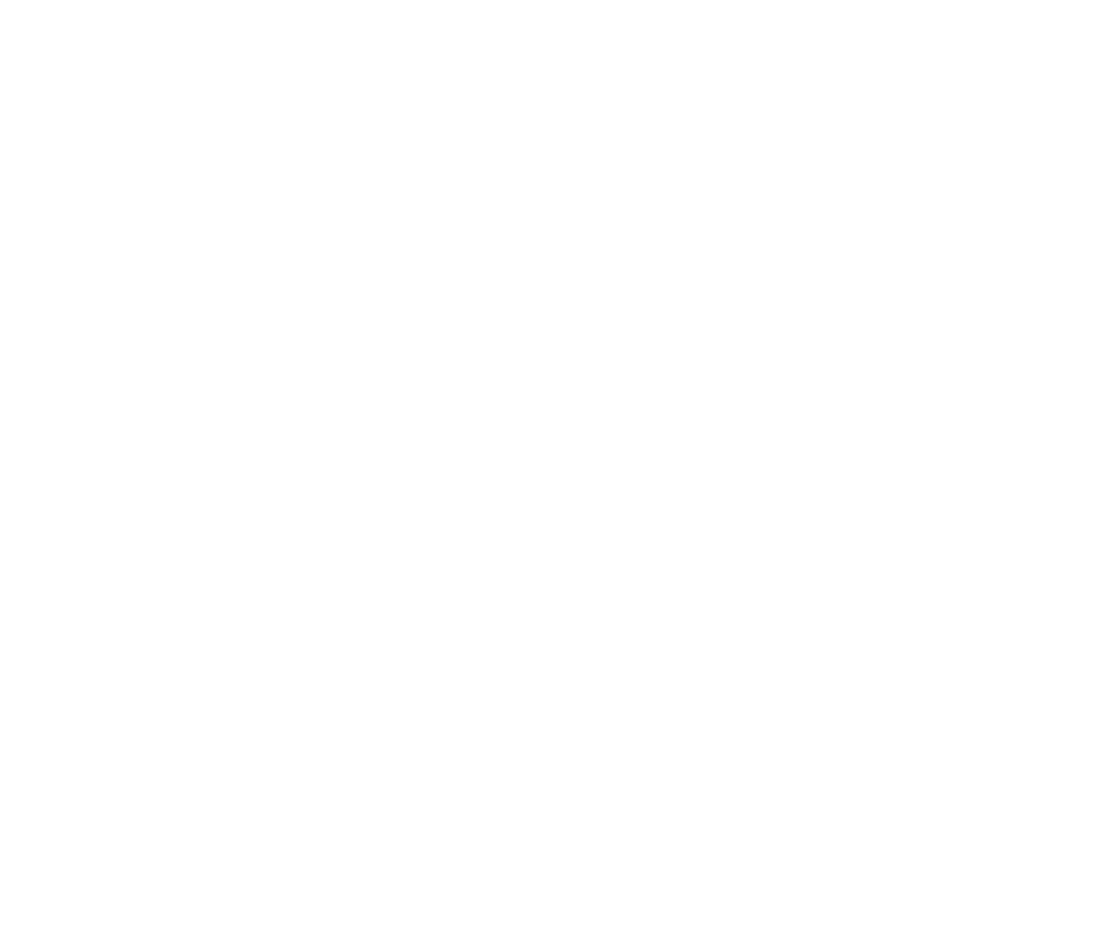 Providence College logo white